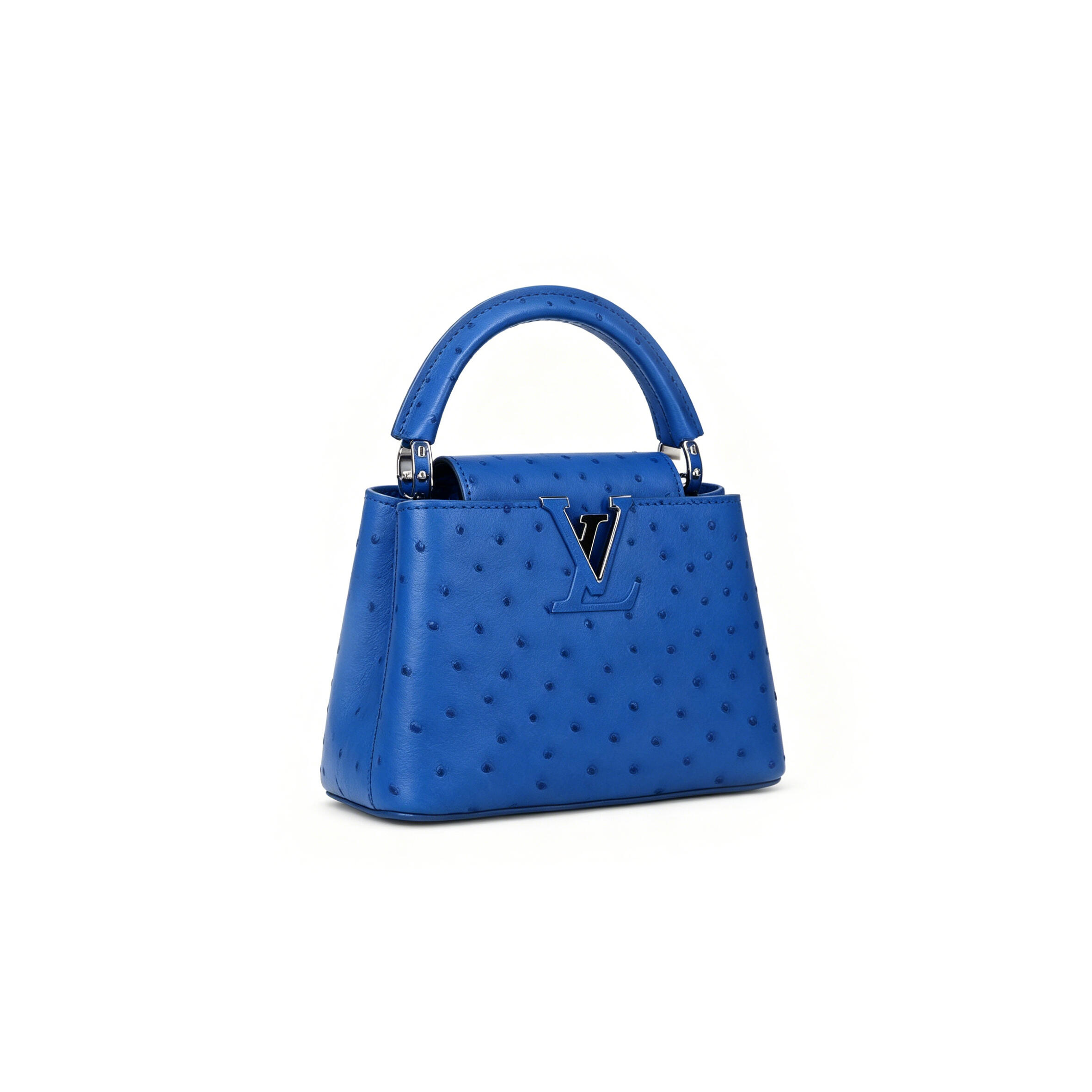 LOUIS VUITTON MASTER CAPUCINES MINI N85514 (21*14*8cm)